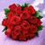 Dottie Higgins's profile image