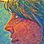 Elizabeth Fenton's profile image