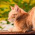 Maurleen H.'s profile image