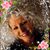 Devita Williams Johnston's profile image