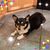 Laurie Huberth Holden's profile image