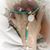 Bernadette Ferreira's profile image