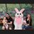 Kayla Thornhill's profile image