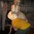 Scott Shattuck's profile image
