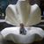 Thomas Trey Le Plug's profile image