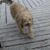 Christina Stottlemyer Magnone's profile image