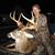 Shawn Scott's profile image