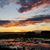 Michelle van Sloten's profile image