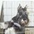 Darrel Volner's profile image