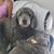 Amy Carter's profile image