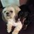 Kathy English Carranza's profile image