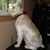 Christine Guiditta's profile image