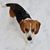 Susan B Hoffeld-McAlpin's profile image