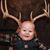 Justin Broering's profile image