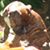 Ron Ragsdale's profile image