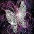 Pamela Rothfuchs McCalebb's profile image