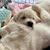 Nancy Porter Gadd's profile image