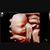 Francisco Cruz's profile image
