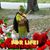 Wanda Copeland's profile image
