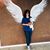 Janice Seilhan's profile image