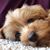 Holly Marie E's profile image
