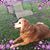 Taryn Laney Morrey's profile image