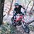 Alessandro Piovaccari's profile image