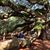 Debbie Meadors's profile image