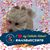 Jane Teano Fogarty's profile image