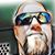 Mark Hairfield's profile image