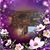 Lori Keenan's profile image