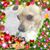 Martha Sepulveda's profile image