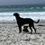 Laurie Mckinnish's profile image