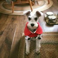Susan McReynolds's profile image