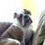 Nicholas Currie's profile image