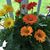 Barbara Stoehr's profile image