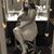 Tasha Kemp-thompson's profile image