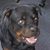 Robert McDade's profile image