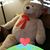 Jonathan Gadbois's profile image