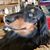 Amy Pence's profile image