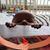 Tricia Krohmer's profile image
