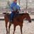 John Sandrock's profile image