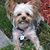 Jeannie Wilkewitz-Fabrizio's profile image