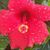 Cindy Stevens's profile image