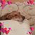 Dorothy Dottie Jean Bridges's profile image
