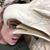 Erin Renee Scabareti's profile image