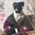 Kristie Wilson's profile image