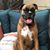Rachelle Manzelli Dickie's profile image