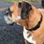 Lisa Schueck Becker's profile image