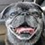 Lisa Malley's profile image